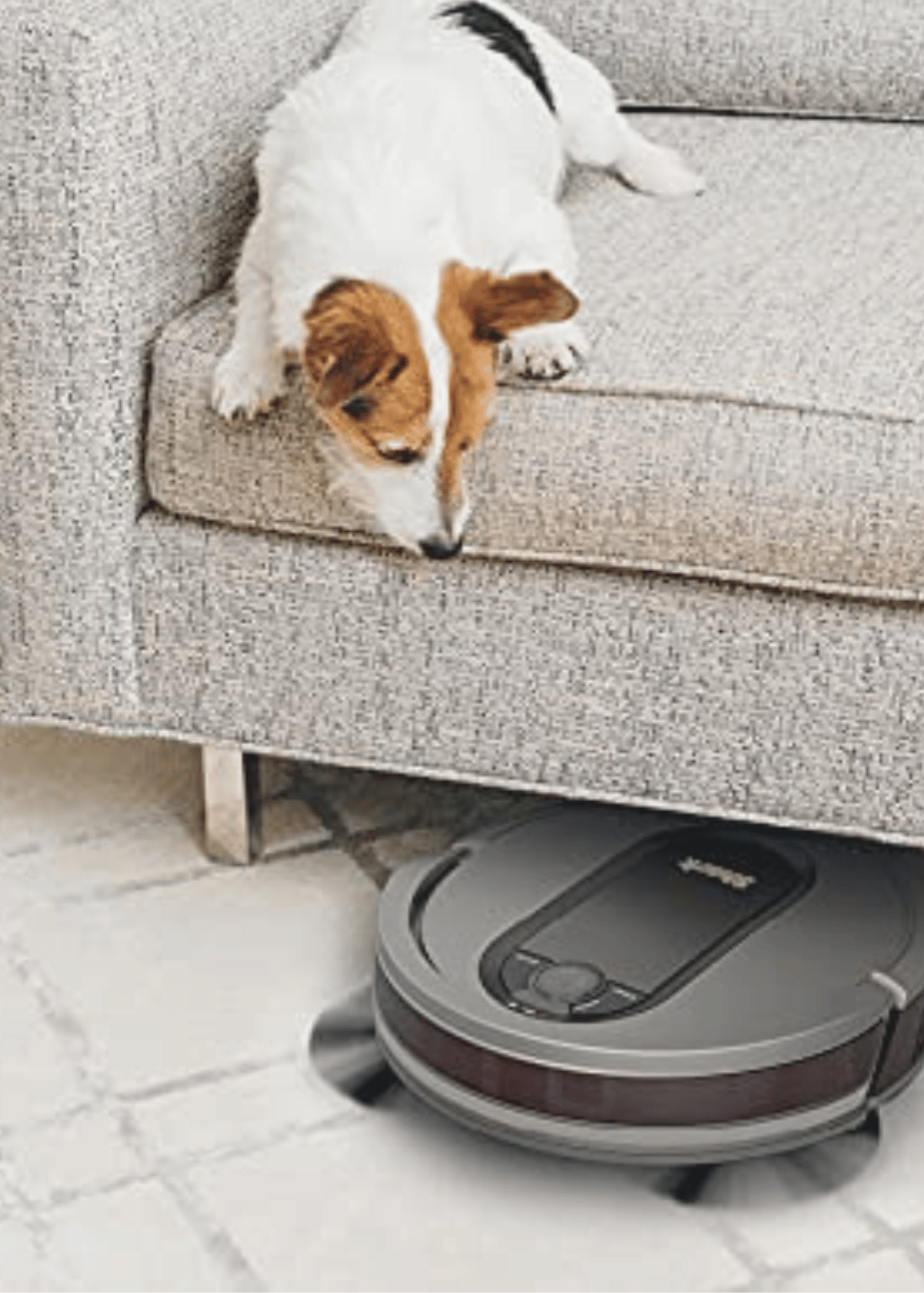 Get Spotless Floors with the Shark AV911S EZ Robot Vacuum